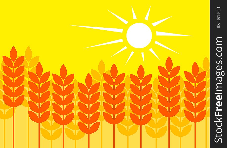 Summer cornfield with golden sky