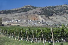 Osoyoos And Okanagan Lake Royalty Free Stock Photo Osoyoos And Okanagan Lake Royalty Free Stock Photo
