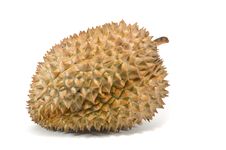 Durian. Tropical Thai Fruit. Stock Photography Durian. Tropical Thai Fruit. Stock Photography