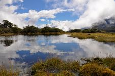 Lake In Milford Sound Royalty Free Stock Photo