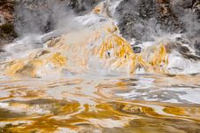 Orako Korakei Geothermal Park, Rotorua Royalty Free Stock Photography Orako Korakei Geothermal Park, Rotorua Royalty Free Stock Photography