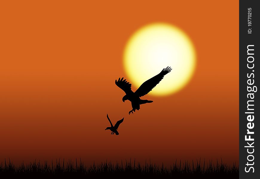 Bird of prey silhouette with sun behind. Bird of prey silhouette with sun behind