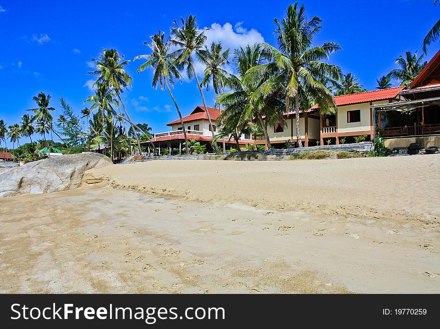 Beach with palm trees