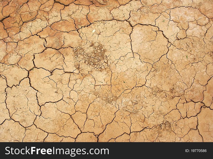 Drained ground in Mongolia, in Asia. Drained ground in Mongolia, in Asia