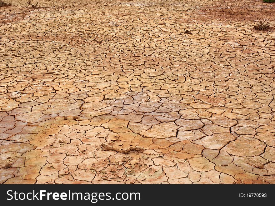 Drained ground, Mongolia