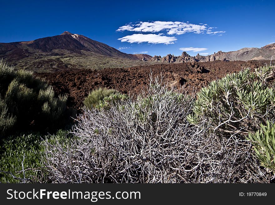 Volcano landscape at El Teide in Tenerife. Volcano landscape at El Teide in Tenerife