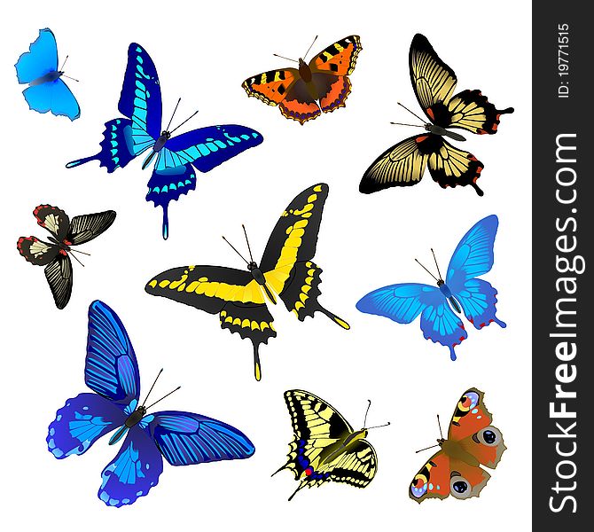 Butterfly set for design, vector illustration