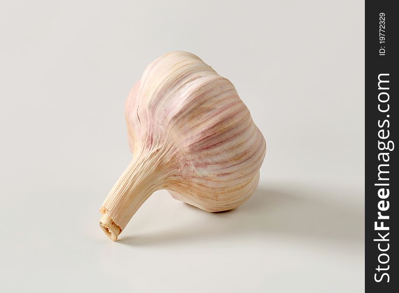 Bulb of fresh garlic - studio shot