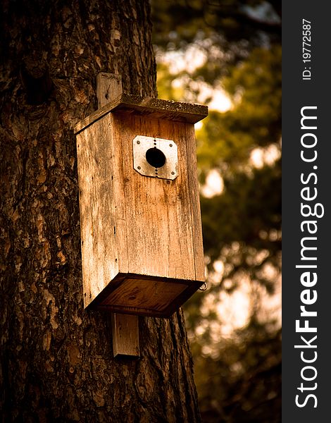 A nesting box on a tree in Sweden