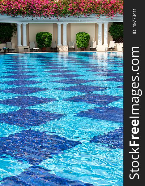 A portrait of outdoor swimming pool with hanging bougainvillea flowers on top of column and a stretch of poolside chairs