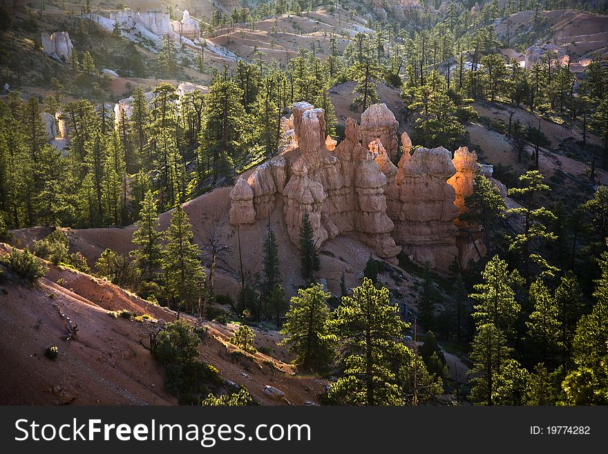 Beautiful landscape in Bryce Canyon with magnificent Stone formation like Amphitheater, temples, figures in afternoon light