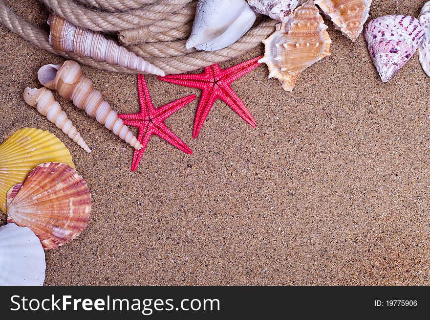 Seashells and starfish with sand as background. Seashells and starfish with sand as background