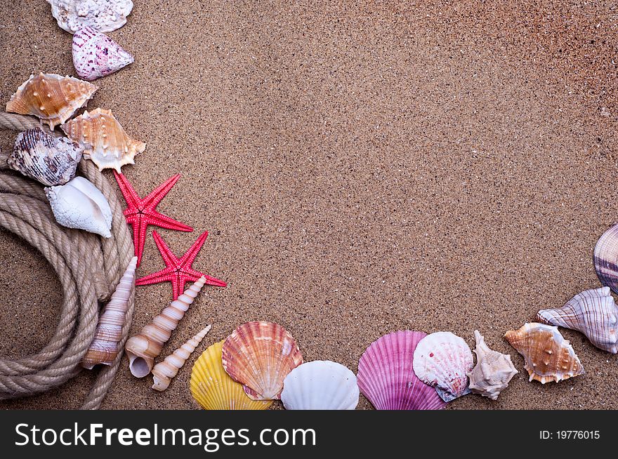 Seashells and starfish with sand as background. Seashells and starfish with sand as background