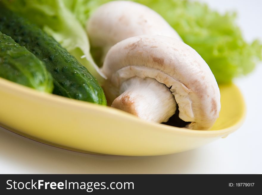 Plate with different raw vegetables on a white background