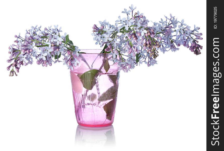 Lilacs In A Glass