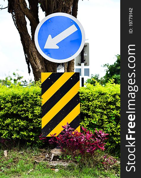 Road Sign White Arrow On Blue with leaves wall background