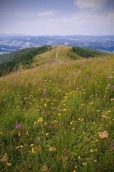 Carpathian Mountains Royalty Free Stock Image Carpathian Mountains Royalty Free Stock Image