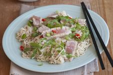 Tuna With Noodles Royalty Free Stock Photography
