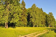 Forest Edge And Dirt Road At Sunset Royalty Free Stock Photos