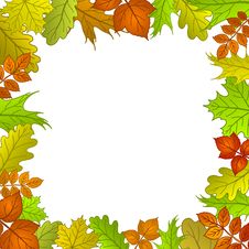 Framework From Leaves Royalty Free Stock Images Framework From Leaves Royalty Free Stock Images