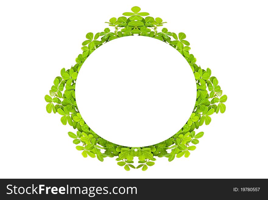 Frame of bamboo-leaves isolated on a white background. Frame of bamboo-leaves isolated on a white background.