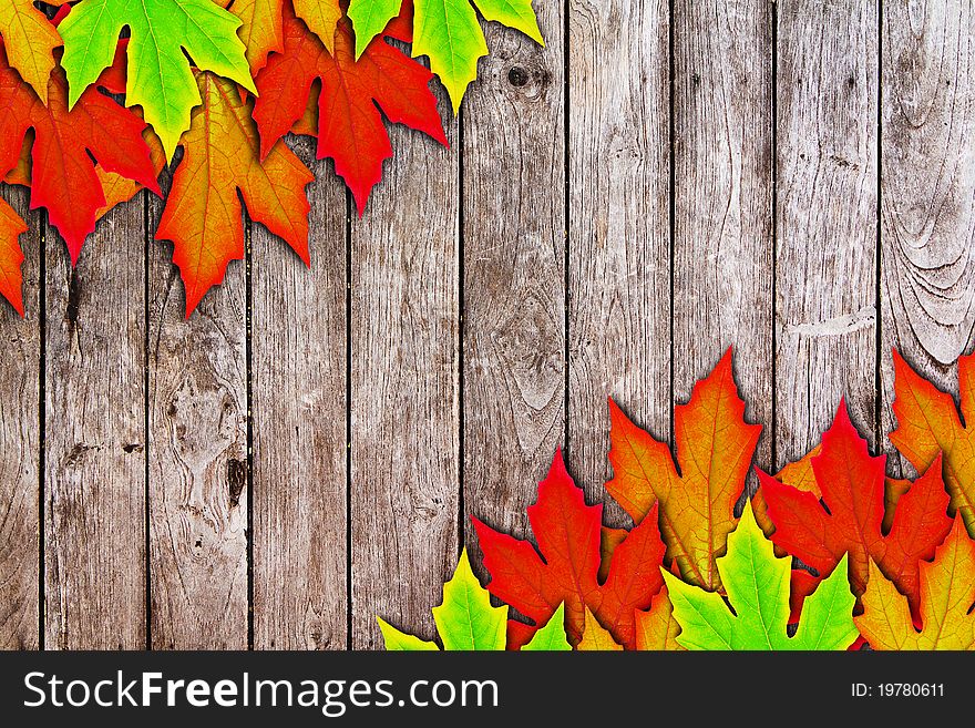 Fresh Spring Autumn Leaves Border And Wooden Wall