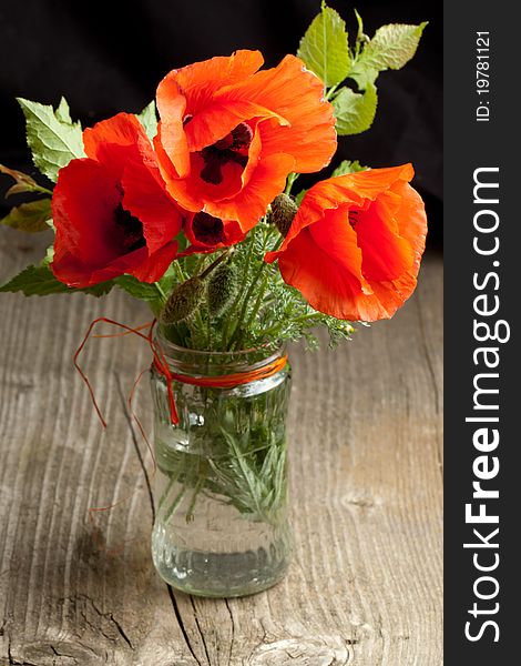 Red poppy flower in glass jar