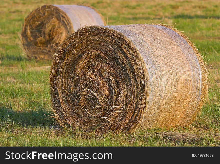 Two hay stack on the meadow