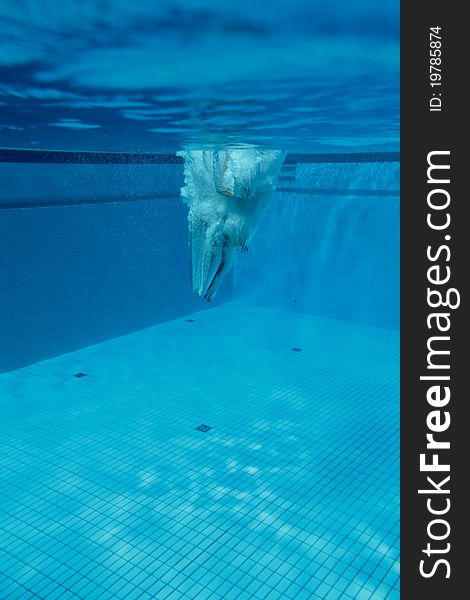 Platform diver under water in outdoor pool