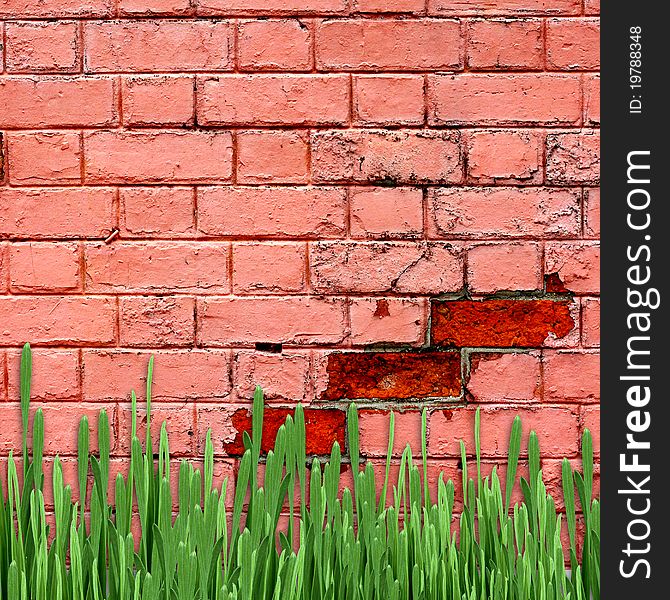 Red brick wall with green grass for design