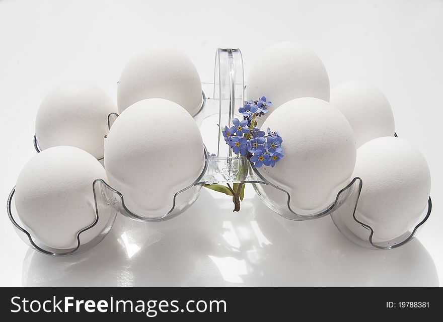 White eggs in the plastic container on white background