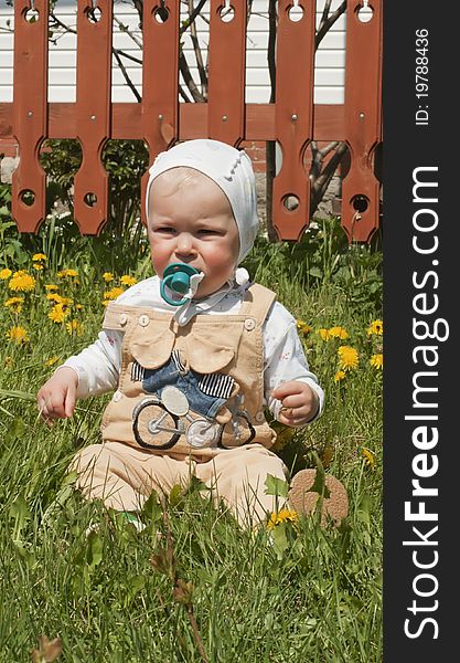 The little girl sits at a window and plays with a camomile flower