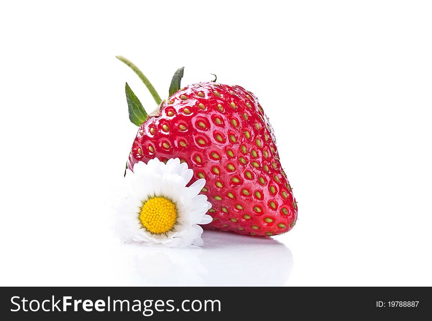 Fresh strawberry and camomile isolated on a white background.