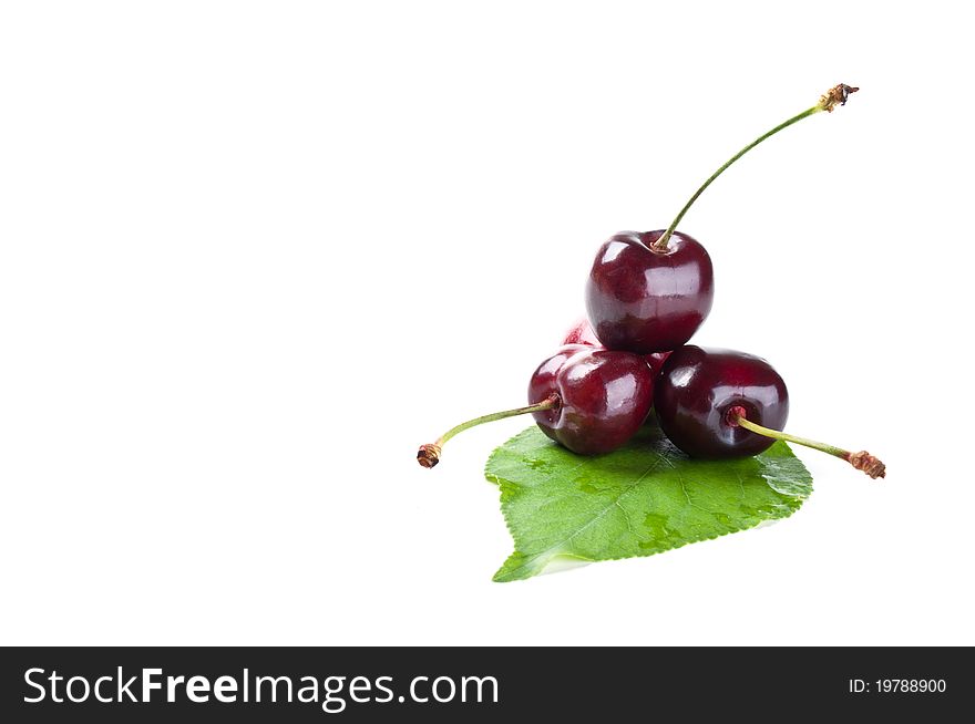 Three cherries and leaf isolated on a white background