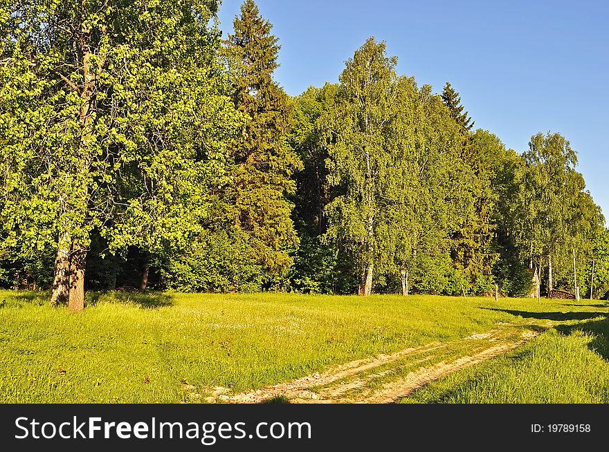 Forest Edge And Dirt Road At Sunset