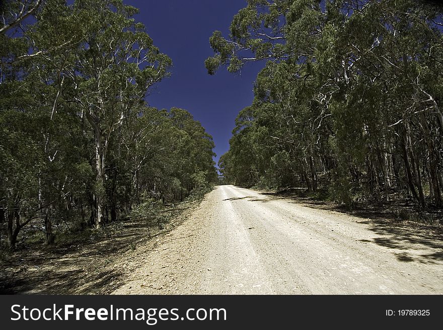 Dirt track road Australia Blue Mountains NSW