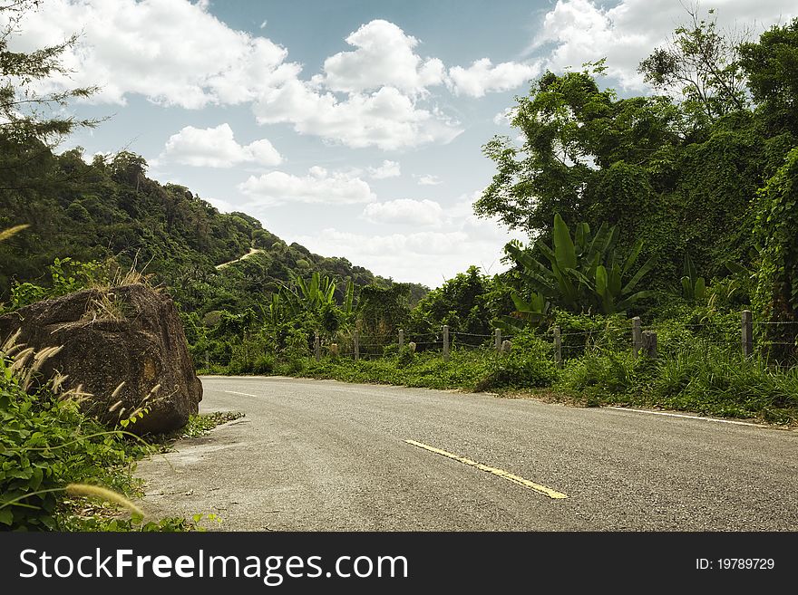 Panoramic view of nice exotic road in tropic environment