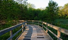 Path Into Forest Royalty Free Stock Photo Path Into Forest Royalty Free Stock Photo