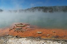 Champagne Pool Royalty Free Stock Photos Champagne Pool Royalty Free Stock Photos