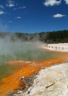 Champagne Pool Royalty Free Stock Photos Champagne Pool Royalty Free Stock Photos