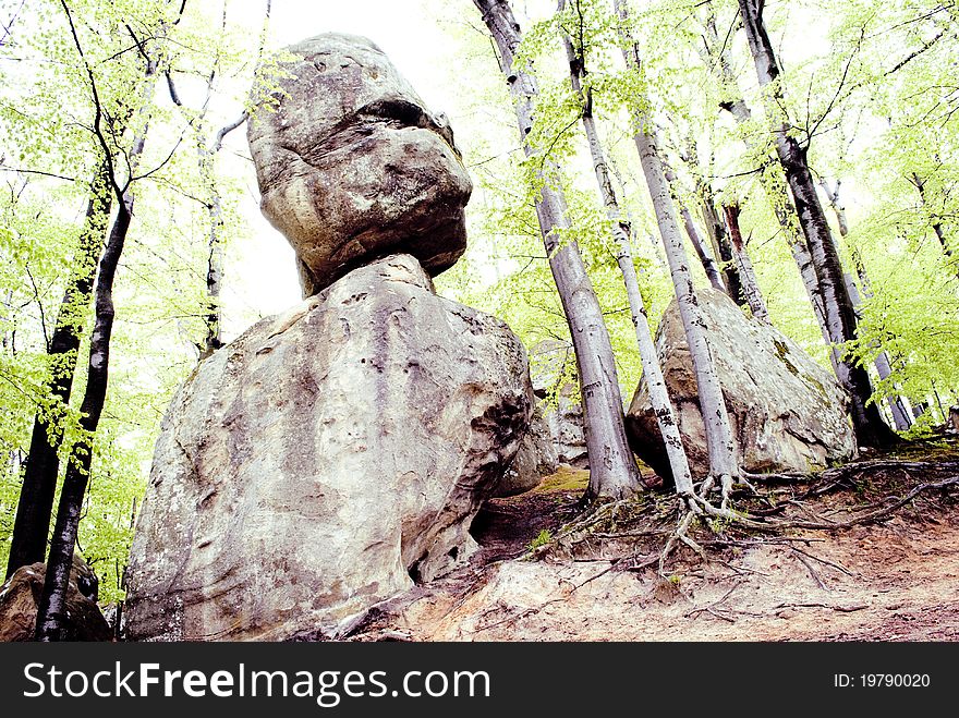 Fabulous stones in the forest