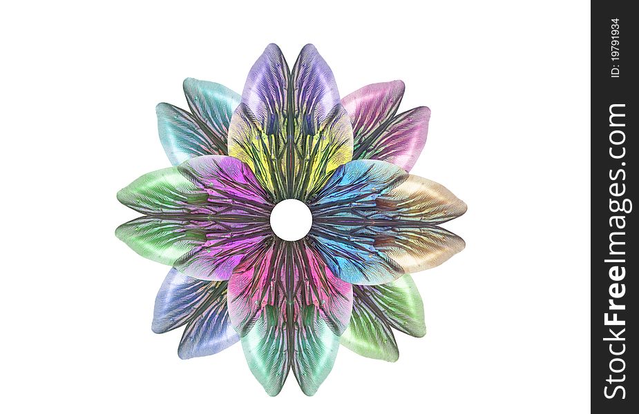 Insect wings create a multi-colored flower. Insect wings create a multi-colored flower