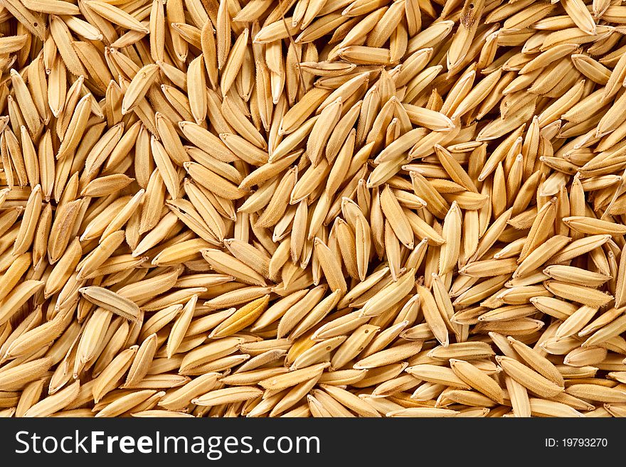 The texture of paddy, use as background