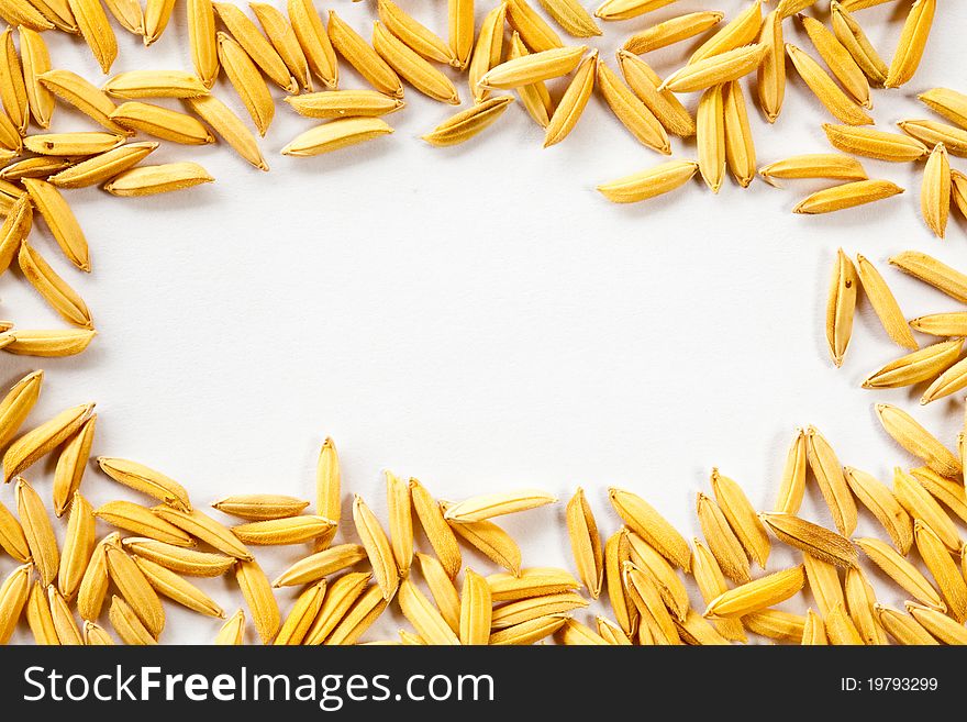 Paddy frame on white background