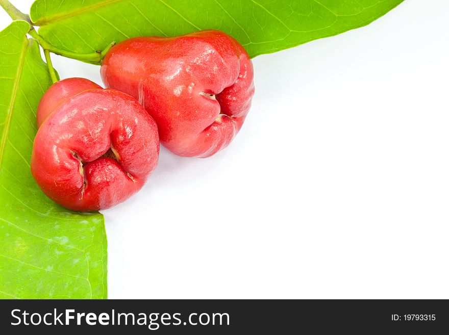 Rose apple and leaves on white background