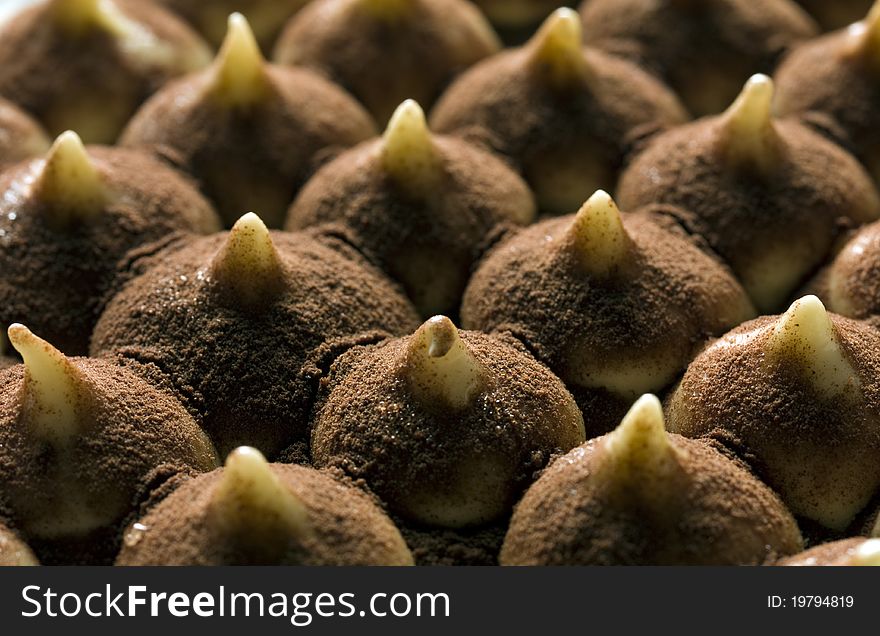 Close up of tiramisu cake, with cocoa powder