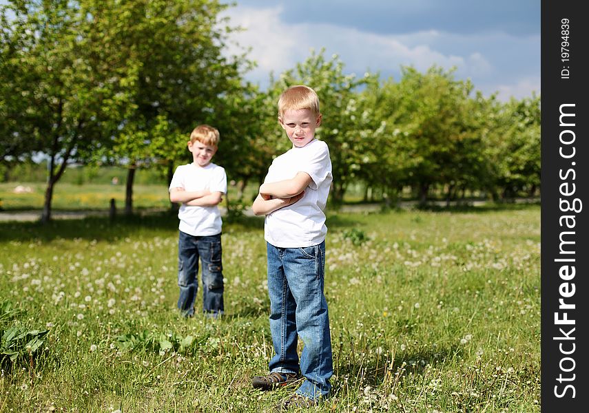 Two twin brothers outdoors on the grass. Two twin brothers outdoors on the grass