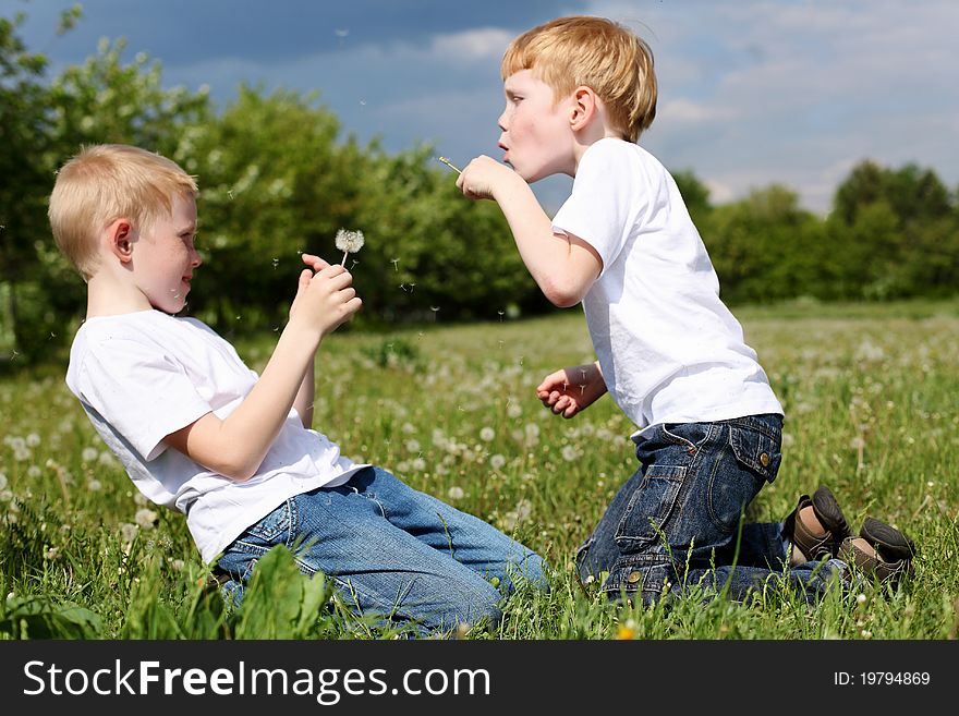 Two twin brothers outdoors on the grass. Two twin brothers outdoors on the grass