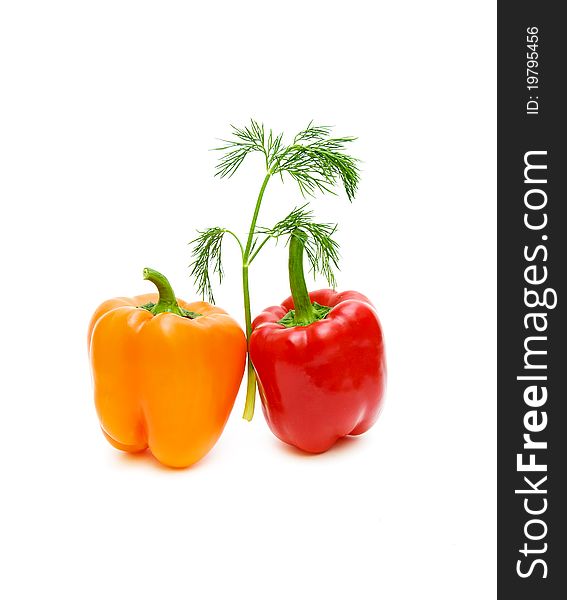 Sweet peppers of different colors and a branch of fennel on a white background. Sweet peppers of different colors and a branch of fennel on a white background