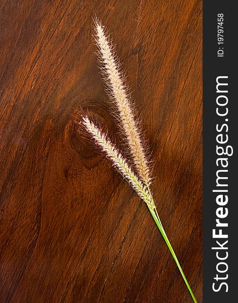 Grass blossom on wooden background texture. Grass blossom on wooden background texture